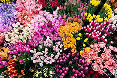 《暗黑血统3》《赏金奇兵3》Steam国区价格永降